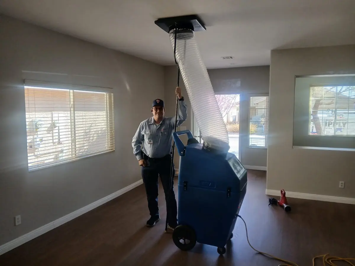 Professional Dryer Vent Cleaning work inside a Dunn home